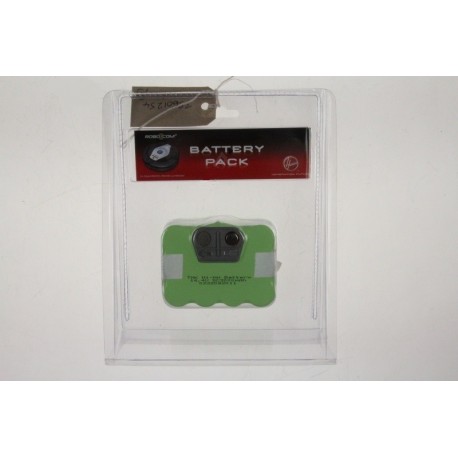 RB201 BATTERIE ROBOT 