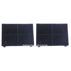 filtres a charbon (2 pieces)