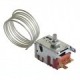 thermostat 077b6781 pour r