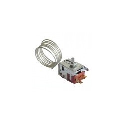 thermostat 077b6781 pour r