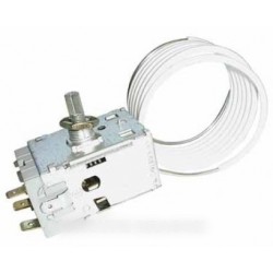 thermostat a1302200301