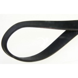 1200 H 8 MA COURROIE POLY-V ELASTIQUE POUR LAVE LINGE CANDY