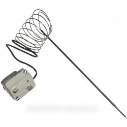 thermostat de four 300