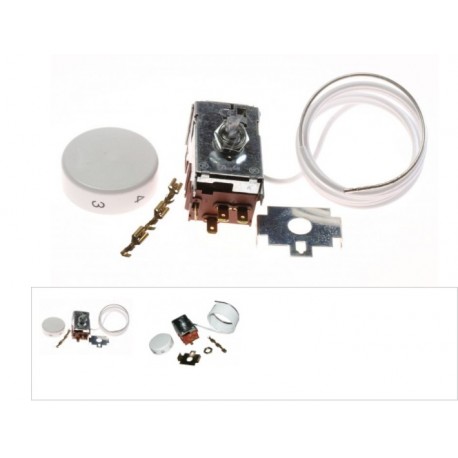 thermostat ranco k59-h2837 pour r