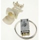 THERMOSTAT K59-S1880/500 POUR R