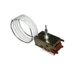 THERMOSTAT POUR R