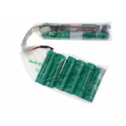 kit batterie ergo rapido pour aspirateur electrolux
