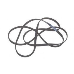 ARISTON - COURROIE POLY-V 1991 H6 ELA - C00116358